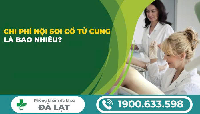 Hình ảnh minh họa